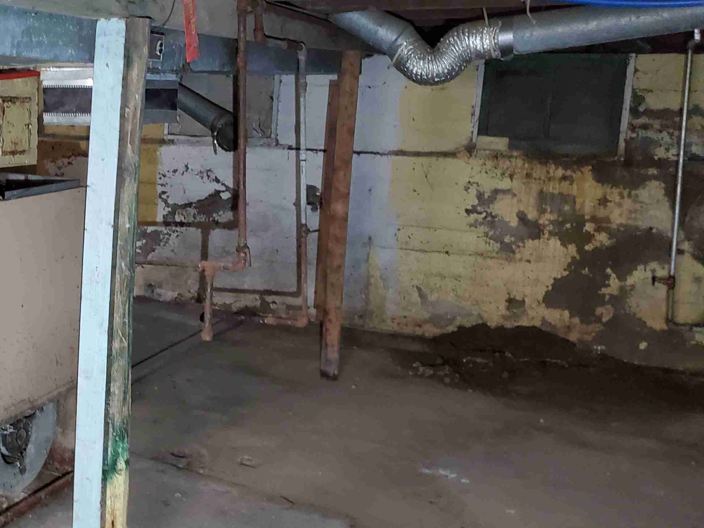 20200810_134838 (2).jpg